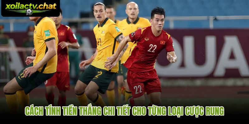 Kèo rung ăn bao nhiêu khi áp dụng từng loại cửa khác nhau