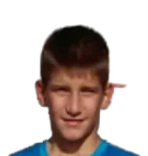 Logo Andrej Nedic